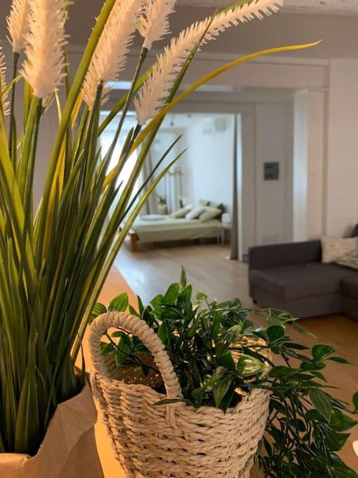 Interno4Home: In Centro Storico Con Posto Auto Ferrara Exteriér fotografie